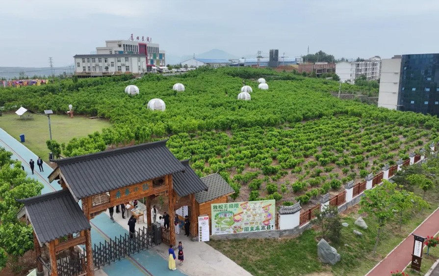 嵩县桑蚕文化节