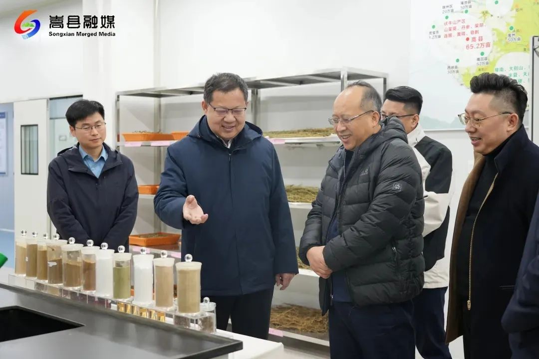 中国农垦集团总经理包峰到嵩县调研
