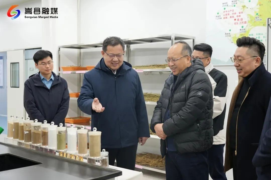 中国农垦集团总经理包峰到嵩县调研