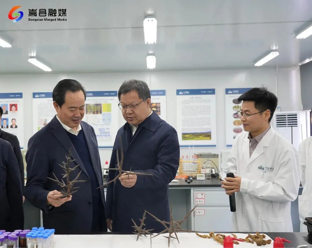 偃师区党政考察团到嵩县考察交流